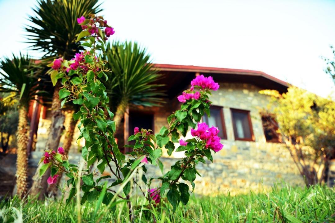 Pir Efes Konaklari İzmir Extérieur photo