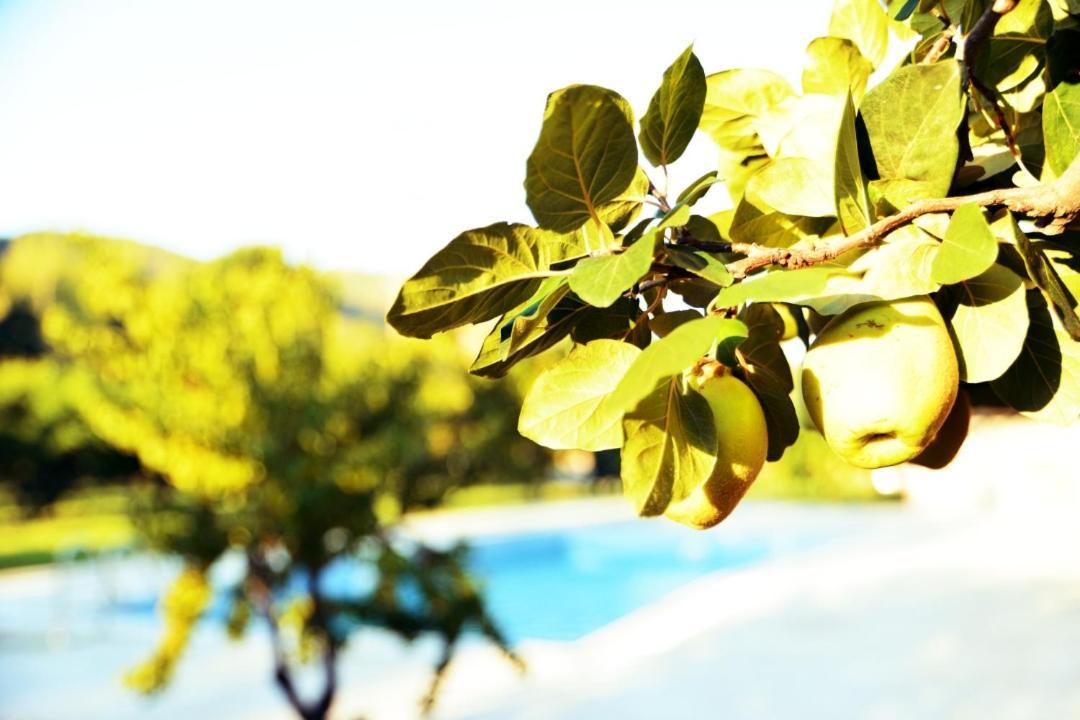Pir Efes Konaklari İzmir Extérieur photo